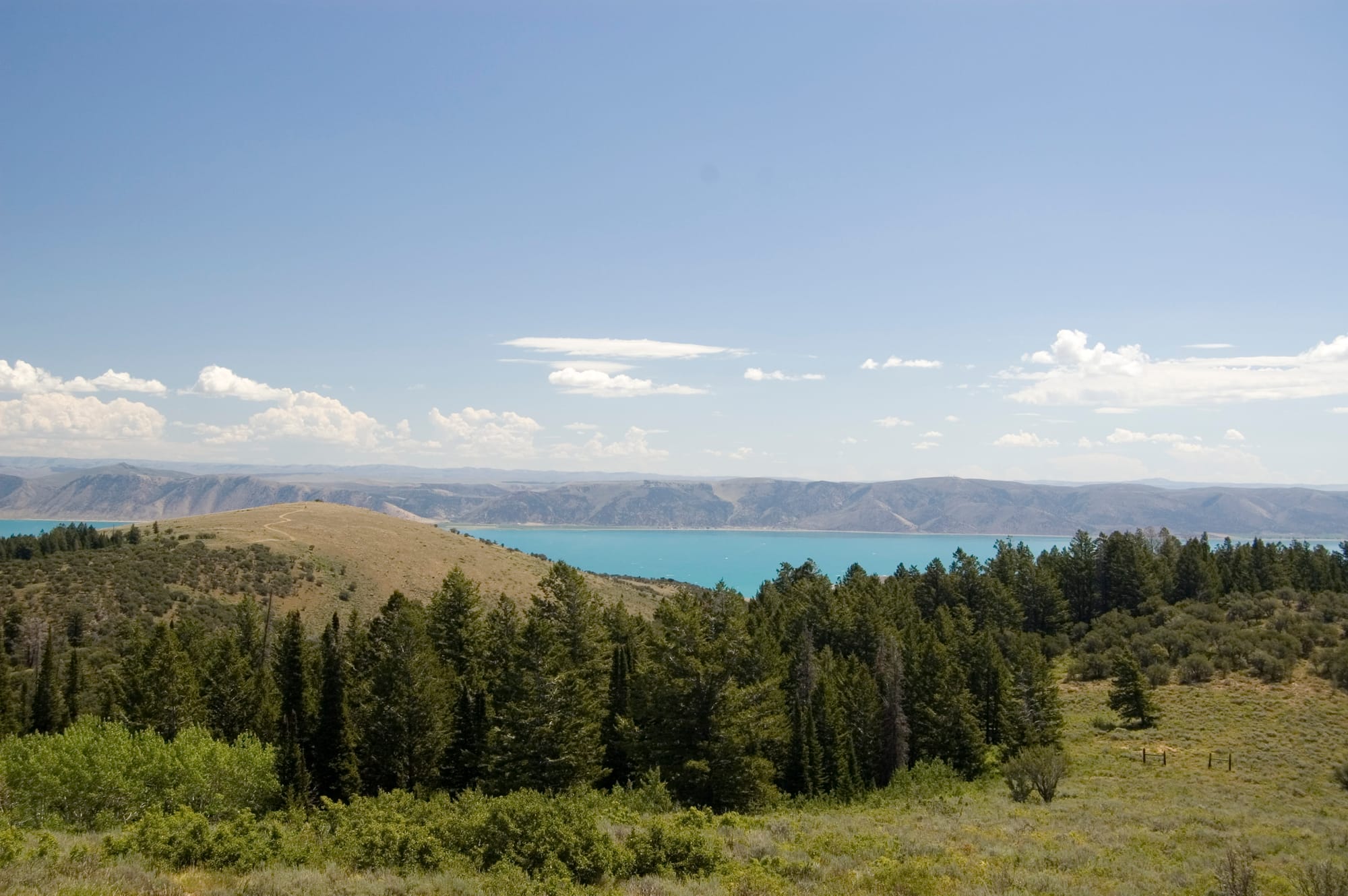 Bear Lake from the overlook above the valley, with pines and sagebrush in the foreground and the Bear River Range across the water